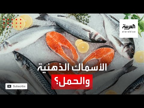 شاهد الأسماك الدهنية من الأطعمة التي على الحامل تجنبها