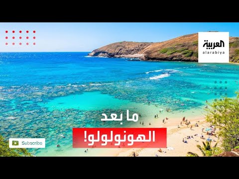 أربعة من هذا العالم لم يسمعوا عن فيروس كورونا